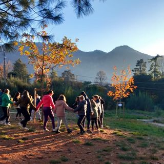 Alla scuola primaria di Porto Valtravaglia piantumato un albero di noce americano