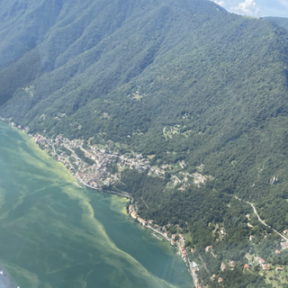 Fioritura anomala delle alghe nel Ceresio