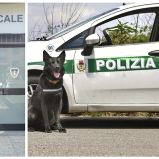 Un seminario per operatori delle forze dell'ordine: unione tra uomini e cani nella lotta al crimine