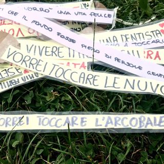 &quot;Vorrei toccare l'arcobaleno&quot;: i sogni dei bambini di Solbiate Arno raccolti su un grande albero