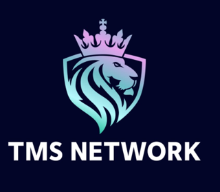 Anche se il boom dell'industria GameFi fa crescere Decentraland (MANA) e Shiba Inu (SHIB), gli investitori si riversano su TMS Network (TMSN)