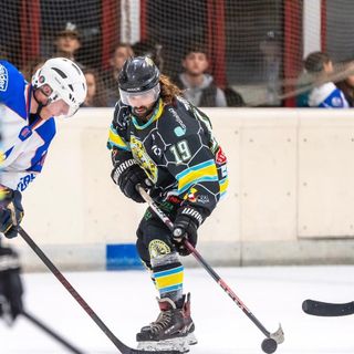 (foto tratta dal profilo Facebook ufficiale dei Varese Crazy Bees)