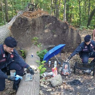 Foto da IlSaronno.it