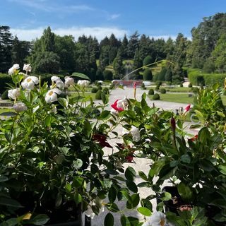 Commissione Paesaggio del Comune di Varese: al via la selezione per le nomine