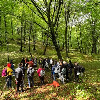 Varese, Slowly... Into the Wild: un incontro per il futuro del turismo locale
