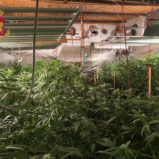 Maxi sequestro di droga in Valcuvia: smantellata un’organizzazione famigliare, la polizia sequestra un fucile a pompa