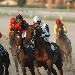 È &quot;derby&quot; trotto-galoppo in Comune a Varese. E il voto per l'ippodromo salta