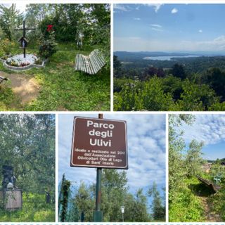 Le immagini del Parco degli Ulivi di via Monte Bernasco e di uno dei panorami più belli di Varese
