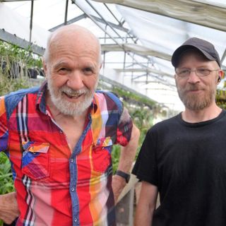 Giancarlo Pozzi con il figlio Edmondo nella loro Orchideria di Morosolo