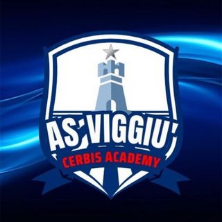 Il nuovo logo della Viggiù Cerbis Academy