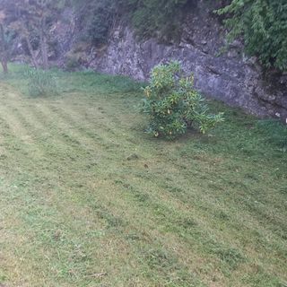 FOTO - I volontari seniores del Cai di Varese sistemano il verde della Via Sacra