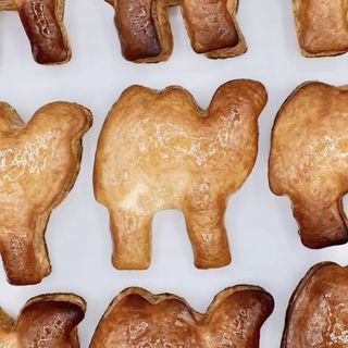 I "cammelli" di Varese fanno sempre più gola: «Diventi un prodotto Dop»