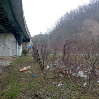 FOTO. La rotonda di viale Belforte è diventata una discarica a cielo aperto