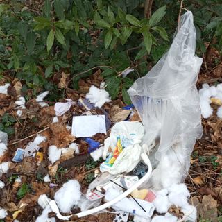 FOTO. Un seggiolone, una cuccia, medicinali, biancheria e carte da gioco: c'è di tutto nella discarica abusiva comparsa in via Dunant