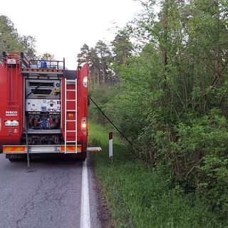 Incendio a Pianbosco, in fumo mille metri quadrati di vegetazione