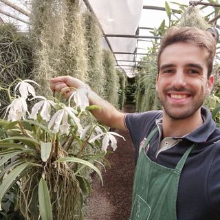 Gioele Porrini, il &quot;principe&quot; delle orchidee: «Ammaliato in Honduras, oggi ne coltivo 22mila»