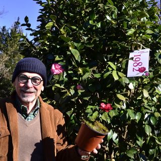 Quarant'anni di amore in un bosco: «Dietro a una pianta c'è la Città in un Giardino che amo»