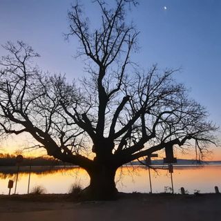 FOTO Quell'alba d'inverno a Gavirate come un quadro