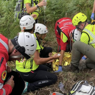 Le fasi del ritrovamento