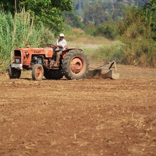 Aratro: le principali caratteristiche e applicazioni
