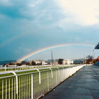 Ippica, mercoledì si corre alle Bettole: ecco le dritte di Jacopo D'Elia