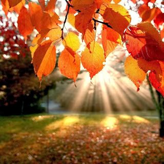 Autunno per ora molto mite con temperature "primaverili" in provincia di Varese