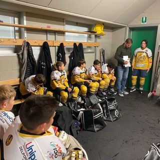 Ridiamo ai piccoli Mastini quel pulmino che li porta sulla strada dei sogni