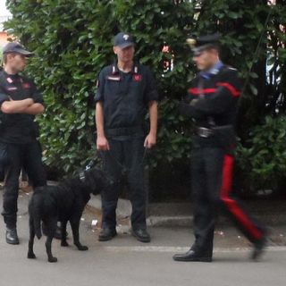 I carabinieri salvano due cani dagli spacciatori nel bosco