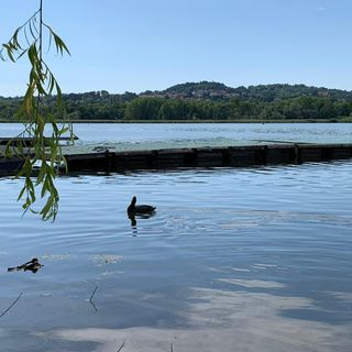 Visite naturalistiche, laboratori per bambini e tradizioni. L'estate si passa sul lago di Varese