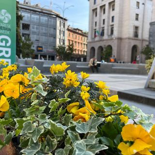 Varese Città Giardino... per l'infanzia: i piccoli alunni protagonisti alla Design Week