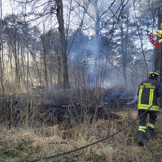 Brucia il bosco al parco delle Groane: in fumo diecimila metri quadri di vegetazione