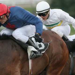 IPPICA. Domani riscaldatevi con lo spettacolo delle Bettole. E con i pronostici di Jacopo D'Elia