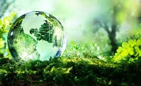 Insegnare la Biodiversità nelle scuole, a Palazzo Estense il primo incontro con Legambiente