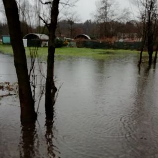 Varese, il canile di via Friuli è allagato: animali in ostaggio dell’acqua