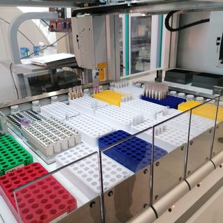 Test sierologici, Claudio Pucci del Centro Beccaria spiega come avvengono e come leggere i risultati