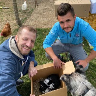Simone De Martin dona al ventunenne Matteo Bissacca dei nuovi amici per la fattoria che sta crescendo nei prati di via Piana di Luco, tra Bizzozero e Schianno