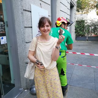 Piantone, si cerca ancora chi trasformi il tronco e i rami in ricordi di uno del simboli di Varese