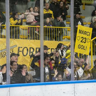Domani sera torna la bolgia giallonera all'Acinque Ice Arena (foto Alessandro Umberto Galbiati)