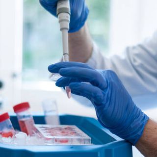 Coronavirus, comune per comune i dati dei contagi in provincia di Varese al 14 settembre