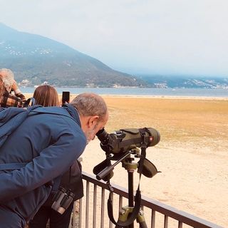 Alla foce del Tresa si nasconde un tesoro naturalistico: un successo la giornata della Lipu a Germignaga