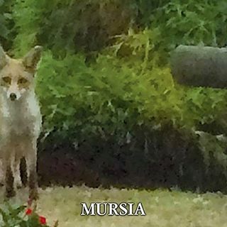 Busto, torna la rassegna BA Cultura per l'Estate: appuntamento con Marilena Lualdi