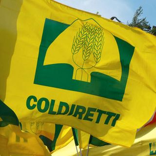 Coldiretti Varese: «Per la prima volta la crisi colpisce anche i consumi essenziali»