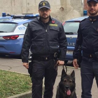 Controlli anti droga nelle scuole, in azione anche le unità cinofile: trovati spinelli, hashish e marijuana
