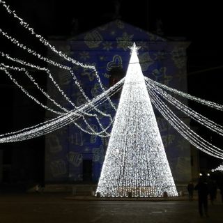 La tradizione si rinnova: acceso l’albero di Natale di piazza Libertà a Gallarate