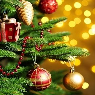 GLI APPUNTAMENTI DEL WEEKEND. Si accendono le luminarie tra mercatini e clima natalizio. Ecco come e dove gustarsi il fine settimana