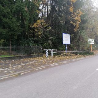 Cadono tre piante in viale Europa: strada chiusa per circa un'ora