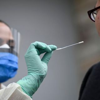 Coronavirus, i dati di domenica 15 novembre: nel Varesotto 684 contagi. Varese +74, Busto +107, Gallarate +56, Saronno +47