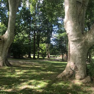 Il “Giardino delle meraviglie” del parco di Villa Mylius diventa più grande