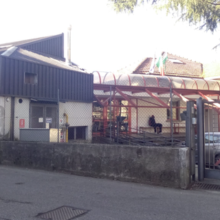 LA LETTERA. «Docente accoltellata? Gli insegnanti si rifiutino di entrare in classe e gli studenti stiano a casa così i genitori si faranno delle domande»