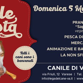Al canile di Varese una domenica di festa, buon cibo e tanto amore per gli amici pelosi